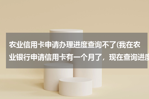 农业信用卡申请办理进度查询不了(我在农业银行申请信用卡有一个月了，现在查询进度显示还在审核中，请)