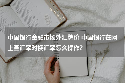 中国银行金融市场外汇牌价 中国银行在网上查汇率对换汇率怎么操作?