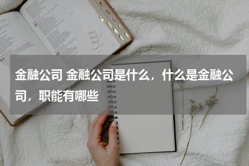 金融公司 金融公司是什么,什么是金融公司,职能有哪些