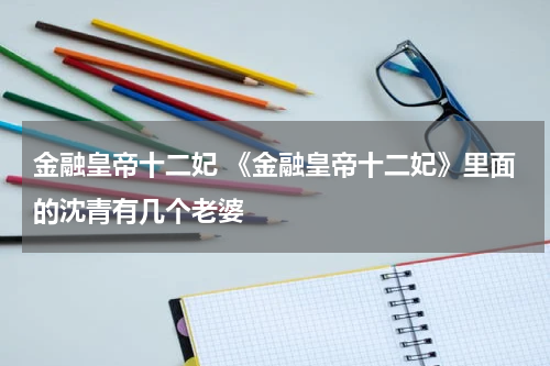 金融皇帝十二妃 《金融皇帝十二妃》里面的沈青有几个老婆