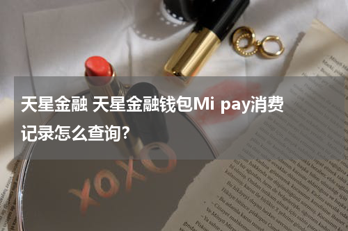 天星金融 天星金融钱包Mi pay消费记录怎么查询?