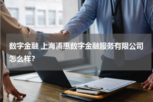 数字金融 上海浦惠数字金融服务有限公司怎么样?