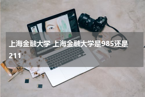 上海金融大学 上海金融大学是985还是211