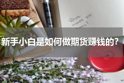 新手小白是如何做期货赚钱的？