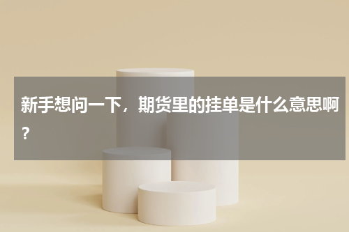 新手想问一下,期货里的挂单是什么意思啊?