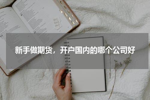 新手做期货,开户国内的哪个公司好
