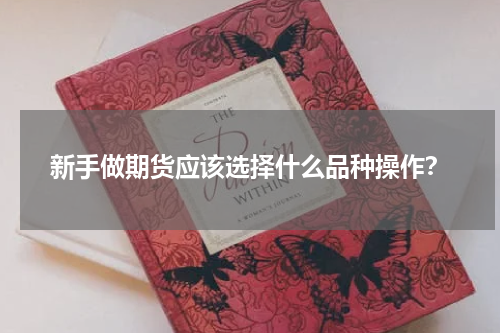 新手做期货应该选择什么品种操作?