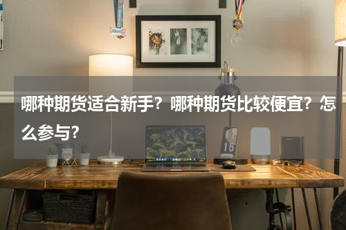 哪种期货适合新手？哪种期货比较便宜？怎么参与？