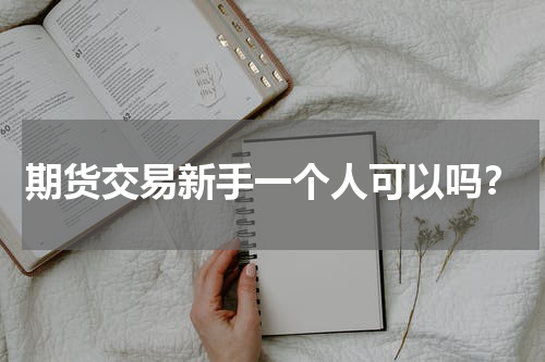 期货交易新手一个人可以吗？